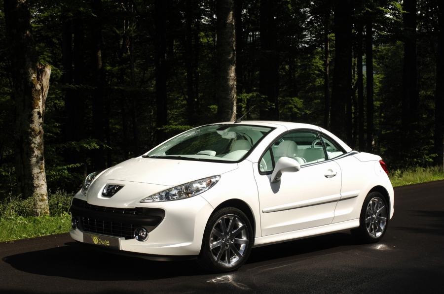  Peugeot 207 Epure 2006 года  (фото 20 из 23)